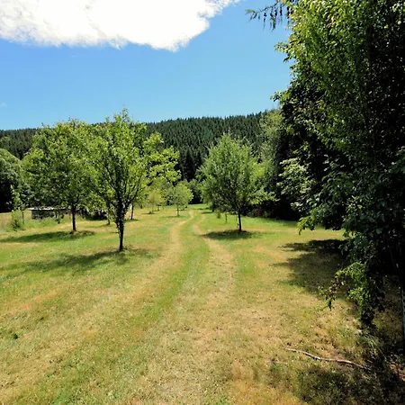 Ardennes With Riverside Garden And Views, Cleaning Included Holiday home Atzerath